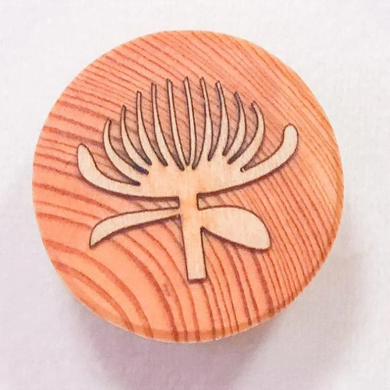 Australian Flora Wooden Playdough Stamps - Image 7