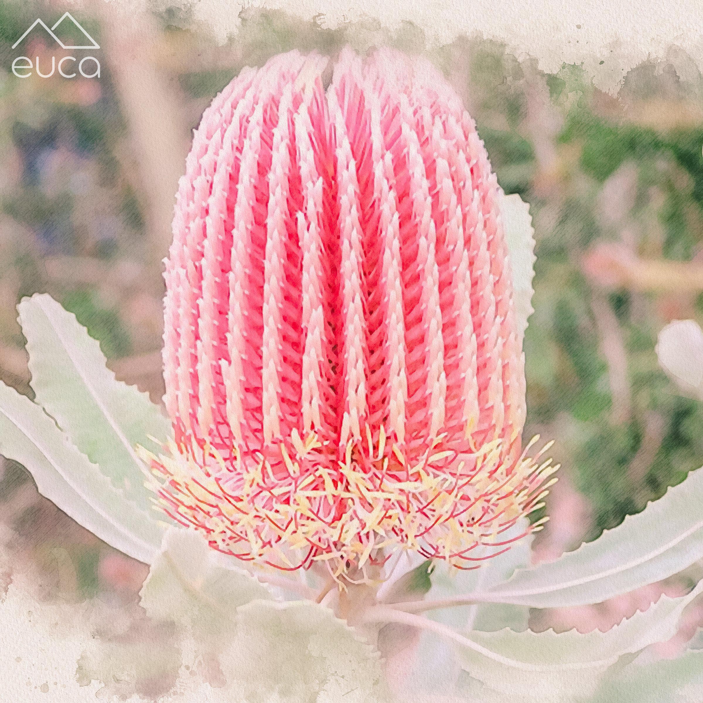 Banksia Stacker - Image 4
