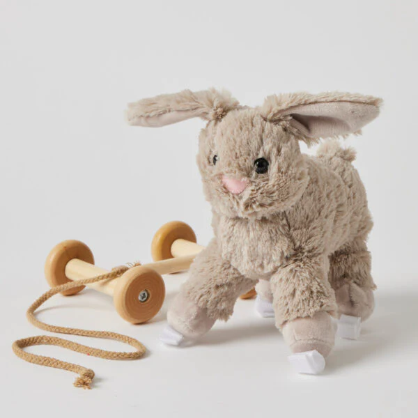 Bunny Plush Pull Along - Image 2