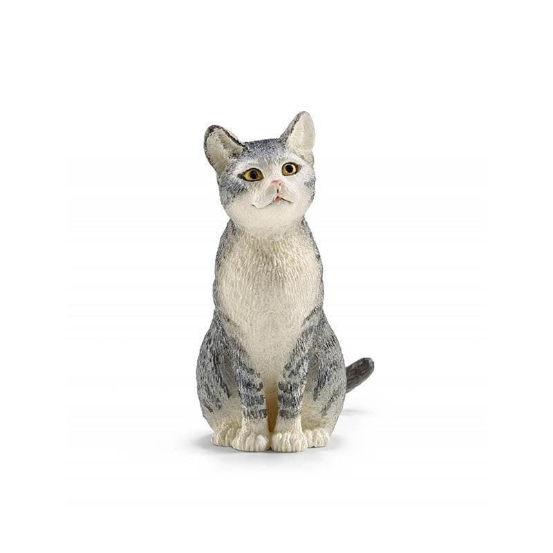 Cat, sitting
