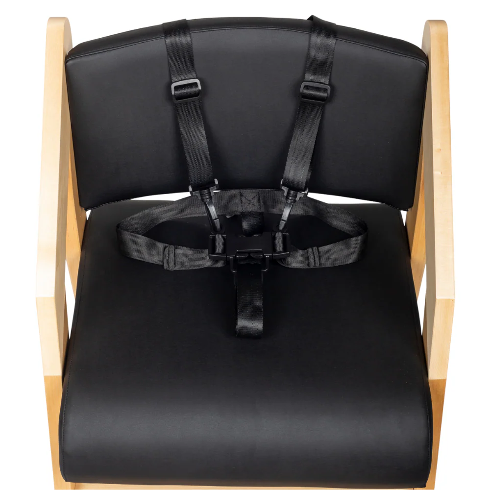 Dine and Grow HIGH CHAIR - Black & Varnish (with Harness) - Image 11
