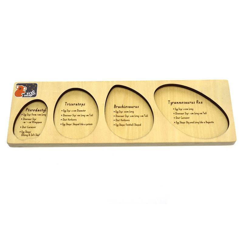 Dinosaur Egg Puzzle with Fact Check - Image 4