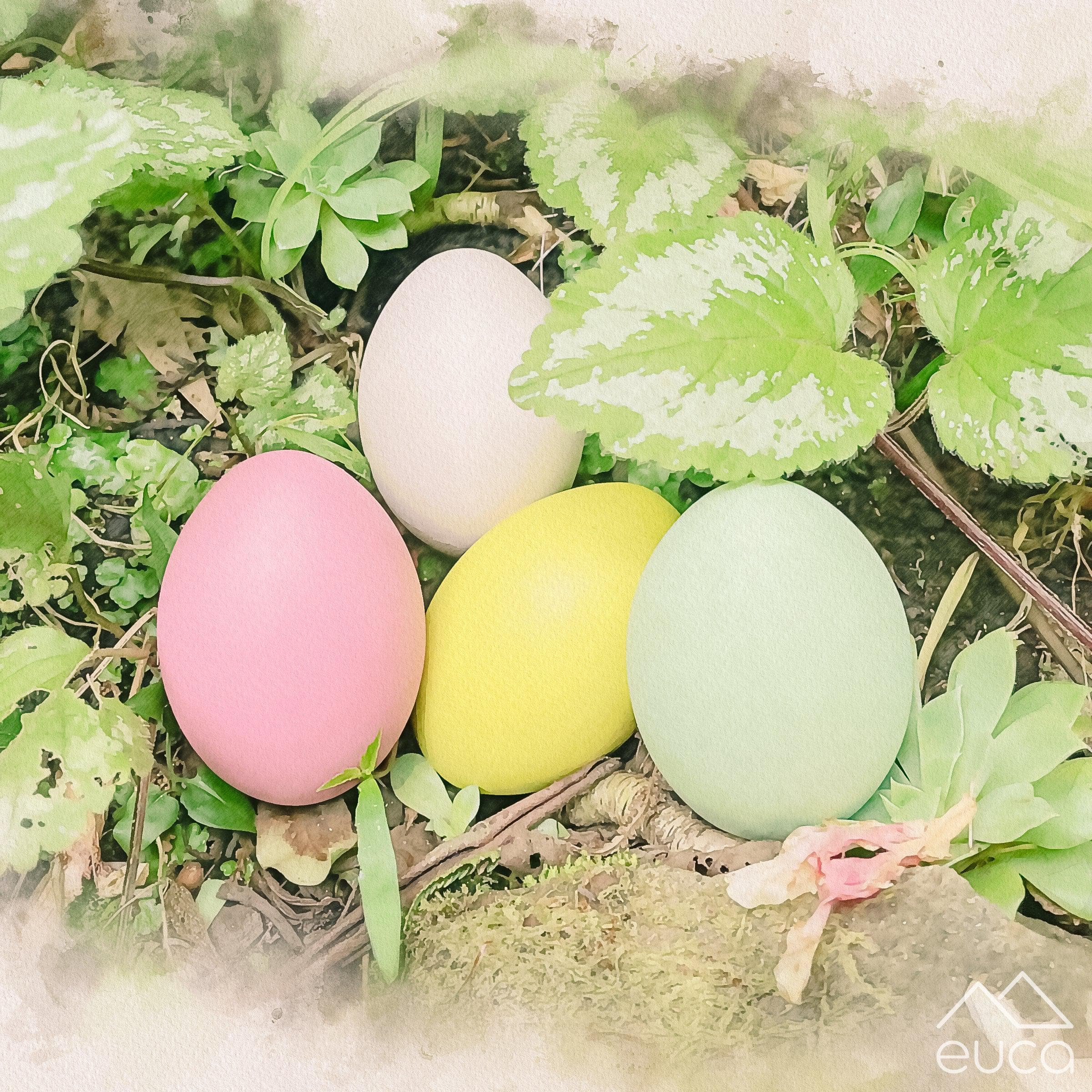 Eggs from the Forest - Image 4
