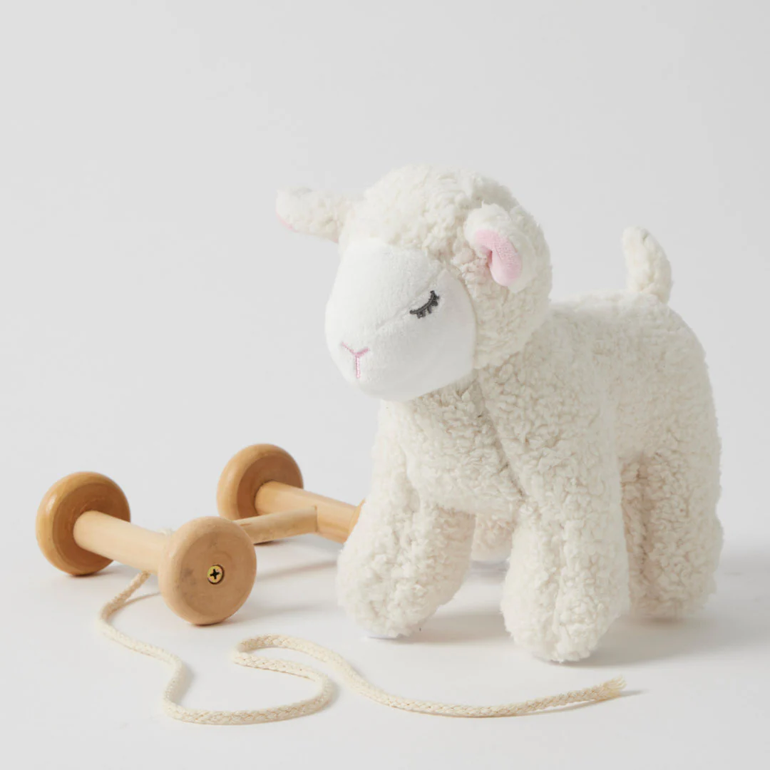 Lamb Plush Pull Along - Image 3